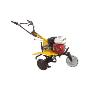 import placeholder for 1256