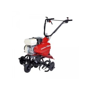 import placeholder for 1241