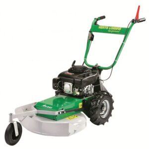 import placeholder for 2081