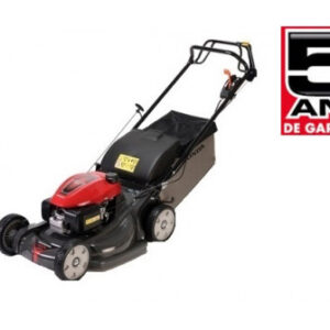 import placeholder for 2239